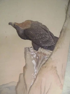 PERGAMINO COLGANTE HALCÓN PINTURA JAPONESA DE JAPÓN ANTIGUO ACANTILADO DE COLECCIÓN f954 - Imagen 1 de 8