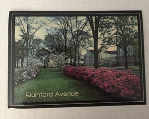 Quintard Avenue Alabama Postcard (A1) - Picture 1 of 2