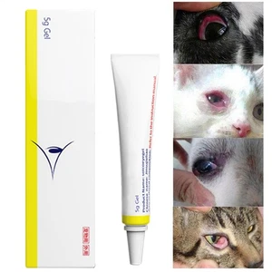 Haustierkatze Hunde Augensalbe 5G Hornhaut Entzündung Augensalbe - Bild 1 von 11
