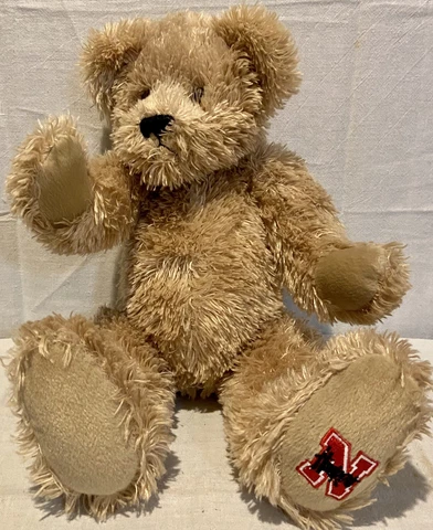 Ridgewood Collectibles 10” Brown Plush Teddy Bear Nebraska Cornhuskers Emblem Cover