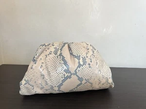 Bottega Veneta Beige Python Leather Clutch Pouch Bag NEW Cinched Teen $3300 - Picture 1 of 10