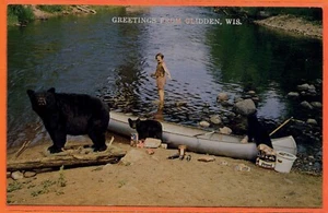 Alte Postkarte Grüße aus gliddenem Wisconsin, Mädchen, Bären & Kanu am Seeufer - Bild 1 von 2