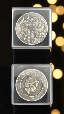 Bull and Bear Antik Finish Silbermünze 1 Unze (Feinsilber 999) Aktionspreis - Bild 1 von 3