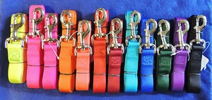1" Nylon Dog Leash Lead Nickel Plated Metal Bolt Snap Solid Colors 4' & 6' NWT - Picture 1 of 1