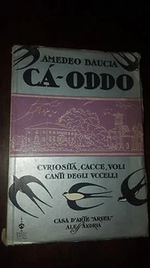 Cà ODDO by AMEDEO BAUCIA ARIEL CA-ODDO - Picture 1 of 10