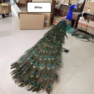 big real life peacock model foam&feather simulation peacock bird about 150cm - Picture 1 of 3