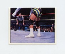 #TN08742 FLASH FUNK #160 Rare 1997 WWF Panini Sticker/Card
