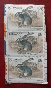 Botswana 1987 10t Rabits Strip on Piece Mi 410 Scott 411 VF/XF 7895 - Bild 1 von 2