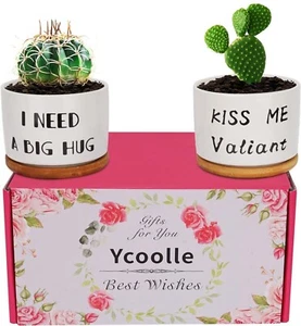 Funny Succulent Plant Pot, 3.15 Inch Cute Ceramic Planter Set | Unique Gifts for - Picture 1 of 7