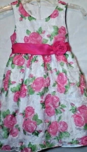 American Princess Girls Easter Summer Dress Floral Hot Pink Size 4T - Picture 1 of 12