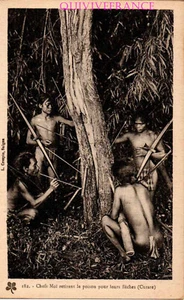 CP3014 - TARJETA POSTAL CHEFS MOÏ RETIRANDO EL VENENO PARA SUS FLECHAS - Bild 1 von 2