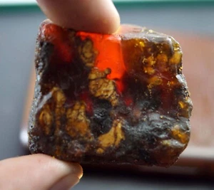 189,10 quilates miel natural ámbar báltico espécimen sin tratar piedra preciosa áspera certificada - Imagen 1 de 5