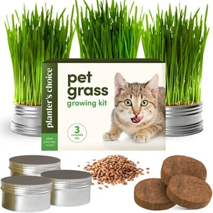 Cat Grass Growing Kit – 3 Pack with Seeds & Planters for Indoor Cats - Picture 1 of 9