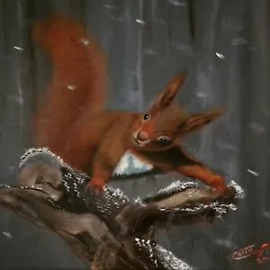 FRAMED original wildlife Red Squirell PAINTING signed Colin Statter - Picture 1 of 7