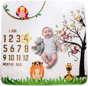 Baby Monthly Milestone Blanket Boy and Girl | Large 47" x 47" with 2 Frame - Picture 1 of 8