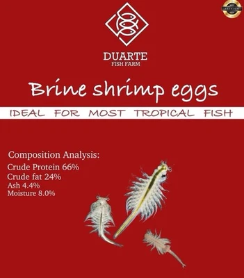 8OZ - Brine Shrimp Eggs Jar. Premium Grade 90% Hatch Artemia Eggs - Image 1 of 2