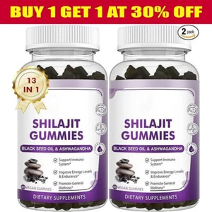 2X Himalayan Shilajit Gummies – Organic Energy & Wellness Support Supplement - Picture 1 of 6