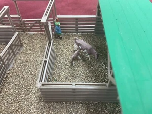 cattle pen small open face shed all fenced in loading dock cows 2 workers - Picture 1 of 11