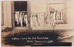 RPPC A DAYS CATCH ON THE CANADIAN NEAR TUCUMCARI NM - Picture 1 of 2