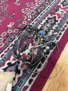 96-98 Suzuki king quad 300 lt-f300 4x4 wiring wire loom harness oem used - Bild 1 von 2