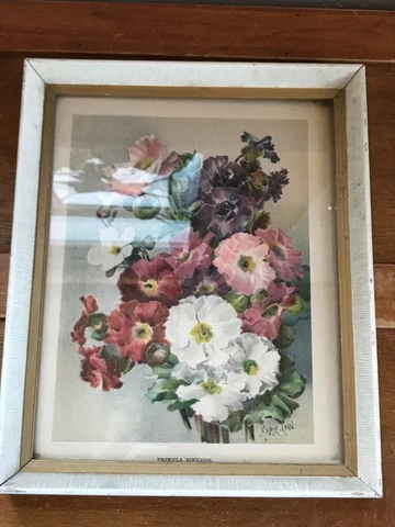 Vintage Marie Low Sign Print of White Pink & Purple HollyHock Flowers in Cream Cover