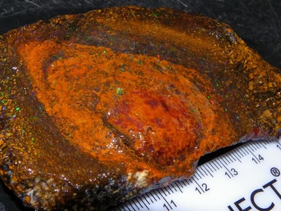 Gran rebanada/especimen de ópalo de nuez Koroit 600 quilates áspero Qld Australia azul/verde fuego Foto 1 de 4