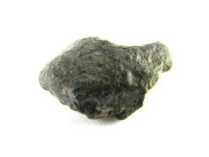 NWA 869 Brecciated L3-6 Chondrite Meteorite North West Africa 1.86 grams NB10 - Picture 1 of 5