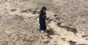 Homies figure urban vinyl Hispanic Palermo's Mijos Global vtg fire hydrant cholo - Picture 1 of 3