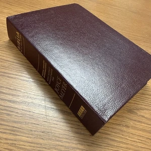 Leather Spanish Bible - Joyce Meyer - Biblia de la Vida Diaria 2008 Pentecostal - Picture 1 of 15