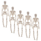  Halloween Mini Plastic Skeletons - 5pcs Realistic Human Bones for Crafts &-BN