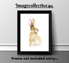 Rabbit Bunny Fun A4 Print Picture Poster Image Wall Art Home Decor Gift New