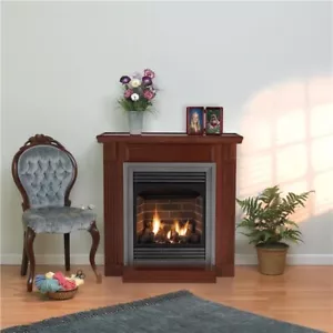 Empire WMH 24" Vail 10,000 BTU Premium Fireplace with Electronic Valve, LP - Picture 1 of 2