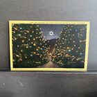 Christmas Tree Street Lane Altadena CA Vintage Linen Postcard UNP Himalayan Tree