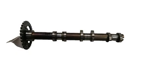 Árbol de levas de escape lado derecho motor AUDI Q7 2011-2015 OEM 3,0 L 06E109102 - Imagen 1 de 8