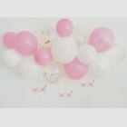 1st Pink Birthday Party Decorations Tableware Gingham Baby Girl Balloons Plates