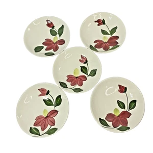 5 Blue Ridge Southern Pottery Floral Berry Bowls Hand Painted Flower Winnie Vtg - Picture 1 of 5