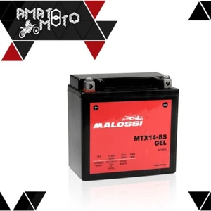 BATTERIA MALOSSI YTX14-BS SIGILLATA A GEL MTX14BS PER VESPA GTS 250 ie 4T LC - Imagen 1 de 1