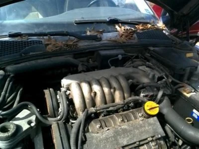 Intake Manifold 6 Cylinder Lower Fits 99-03 SAAB 9-5 156643 - Image 1 of 4