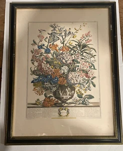 De colección Doce Meses de Flores "Julio" Rob Fuber Gardiner Impresión Original Enmarcada - Imagen 1 de 4