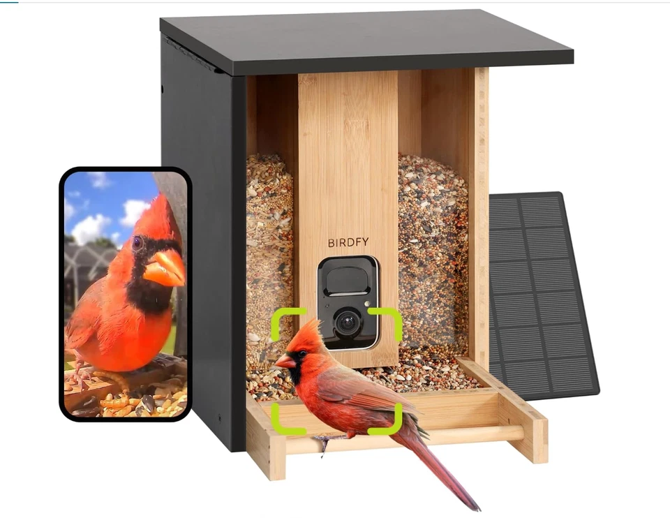Birdfy NI-8408 Bamboo Bird Feeder With Camera & Solar Power Panel