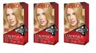 3 x Pack Revlon Colorsilk Beautiful Hair Color Permanent Hair Dye - Select Shade