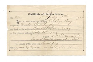 Antique 1905 STUD SERVICE FOR A STALLION CERTIFICATE Horse Racing Thorobred - Afbeelding 1 van 1