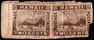 Hawaii Stamp Scott # 75 - 2 Cents Brown Used Pair with Purple Hilo Town Cancel - Picture 1 of 1