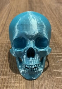 3D Printed Silk Teal Human Skull - Picture 1 of 6