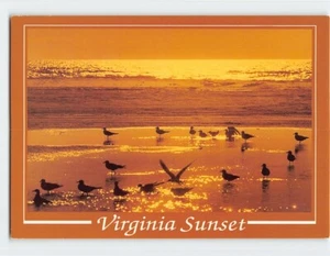 Postcard Greetings From Virginia Eastern Shore Sunset - Picture 1 of 2