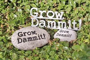 Spring Garden Signs: Grow, Dammit! Cut in Rustic Steel -OR- Engraved Stones - Picture 1 of 11