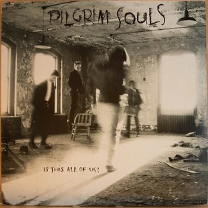 PILGRIM SOULS - IS THIS ALL OF US - LP de vinilo - CBS - 1989 - EN MUY BUEN ESTADO FRANQUEO GRATUITO 2571 - Imagen 1 de 5