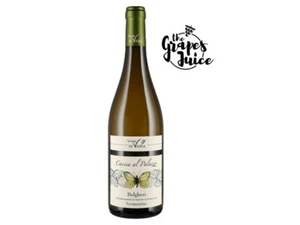 TENUTA DI VAIRA CACCIA AL PALAZZO VERMENTINO 2023 VINO BIANCO BOLGHERI TOSCANA - Foto 1 di 1