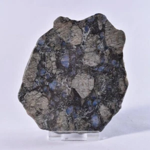 Pieza de exhibición de muestras de forma libre rebanada pulida piedra Llanite Que Sera 88 mm - Imagen 1 de 4