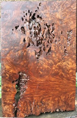 E-Rustic Natural Worm-hole Golden Camphor Burl Woodworking Lumber - Image 1 of 4